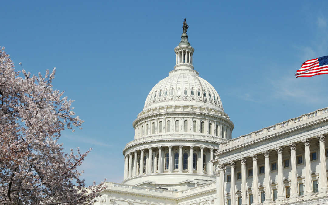 Breaking Down the “One Big Beautiful Bill Act”: What You Need to Know